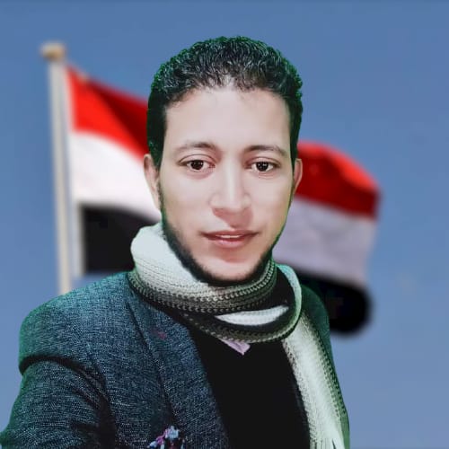 محمود محمد الصغير